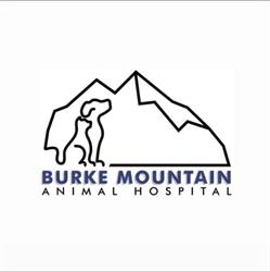 Burke Mountain Animal Hospital, Port Coquitlam, BC opening hours