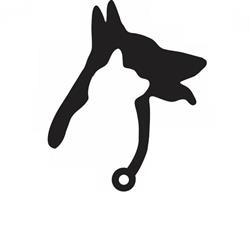 Horizon Veterinary Services, Medicine Hat, AB opening hours