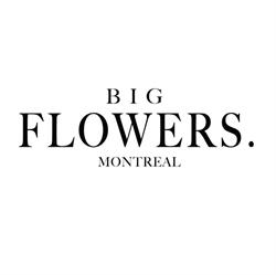 BIG FLOWERS MTL, Dorval, QC opening hours