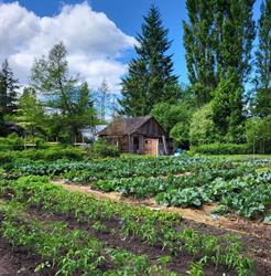 J&K Farmstead, Qualicum Beach, BC opening hours