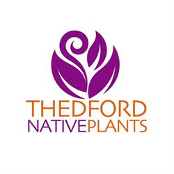 Thedford Native Plants, opening hours