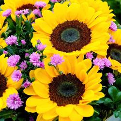 Laurie Clark Designs, Thamesville, ON opening hours