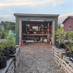 Trinkets and Thyme, Embrun, ON opening hours