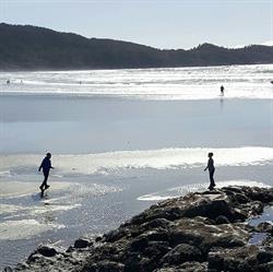 Westcoast Connect, Ucluelet, BC opening hours