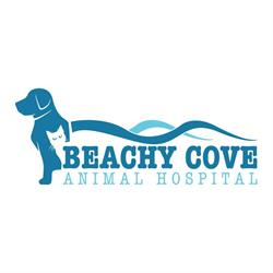 Beachy Cove Animal Hospital, Portugal Cove - St. Philips, NL opening hours