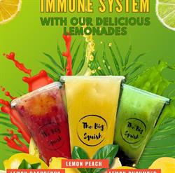 The Big Squish Lemonade and Bubble Tea Downtown, Edmonton, AB opening hours