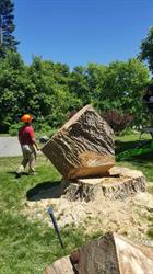 Cory’s Tree Services, New Lowell, ON opening hours