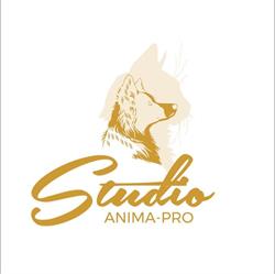 Studio Anima-Pro Brossard, opening hours