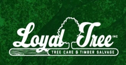 Loyal Tree Inc, Scarborough, ON opening hours