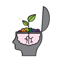 Diverse Roots Therapy, Dartmouth, NS opening hours