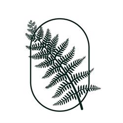 Evergreen MD Aesthetics, Surrey, BC opening hours