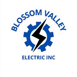 Blossom Valley Electric Inc, Kippen, ON opening hours