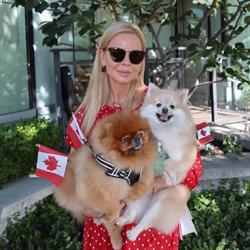 Lapa Dog Grooming, Port Coquitlam, BC opening hours