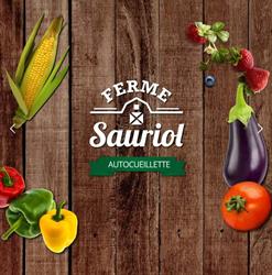 Ferme Sauriol / DM Sauriol, Laval, QC opening hours