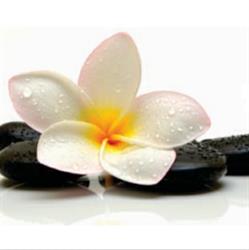 Bortown Massage And Wellness, Olds, AB opening hours