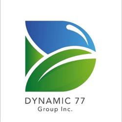 Dynamic 77 Group Inc., Leamington, ON opening hours