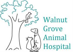 Walnut Grove Animal Hospital Langley, opening hours