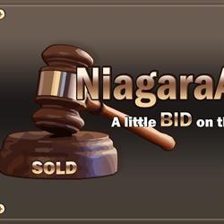Niagara Auctions, St. Catharines, ON opening hours