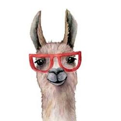 Little Llama Montessori Academy, Courtenay, BC opening hours