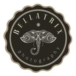 BELLATRIX PHOTOGRAPHY, Toronto, ON opening hours