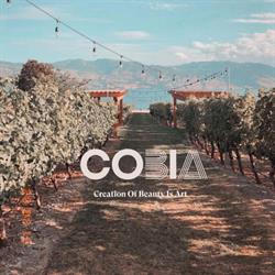 COBIA Salon + Store, Kamloops, BC opening hours
