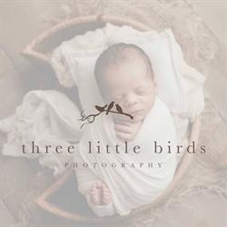 Three Little Birds Newborn Photography, Regina, SK opening hours