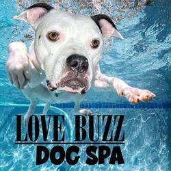 Love Buzz Dog Spa, Oliver, BC opening hours