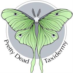 Pretty Dead Taxidermy Inc., Vancouver, BC opening hours