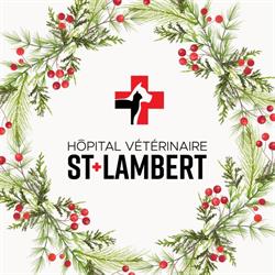 Hôpital Vétérinaire St-lambert, Saint-Lambert, QC opening hours