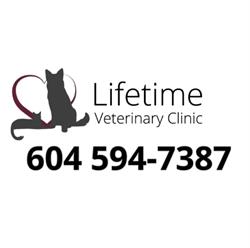 Lifetime Veterinary Clinic, Surrey, BC opening hours