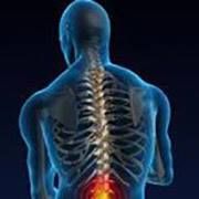 A-Associated Chiropractic & Acupuncture, Red Deer, AB opening hours