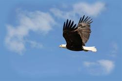 Golden Eagle Resort on Lac Seul, Ear Falls, ON opening hours