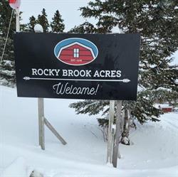 Rocky Brook Acres, Cormack, NL opening hours