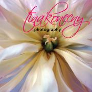 Tina Konecny Photography, Bloomfield, ON opening hours