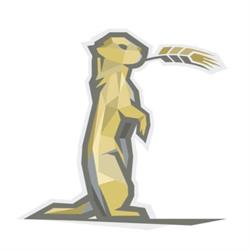 Prairie Dog Wellness - Chiropractic, Laser Therapy & Acupuncture, Olds, AB opening hours