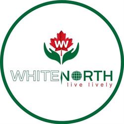 Whitenorth Natural Planet, Toronto, ON opening hours