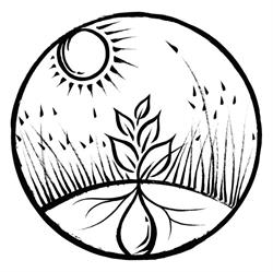 Tereausol Farm (Organic vegetables and fruits), Saint-André-Avellin, QC opening hours