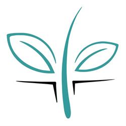Hair Transplant Medical Centre, Mississauga, ON opening hours