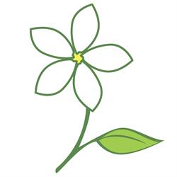 Gemmell's Garden Centre, Smiths Falls, ON opening hours