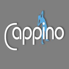 Cappino Physio & Wellness (Île-Perrot), L'Île-Perrot, QC opening hours