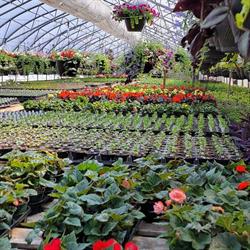 Leray Gardens, Prud'Homme, SK opening hours