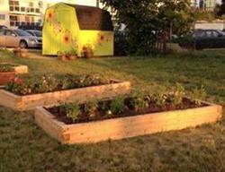 Central Community Garden, Edmonton, AB opening hours
