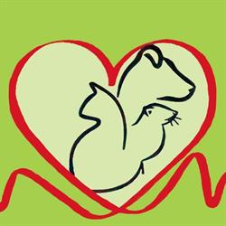 The RAW Edge Pet Health, New Glasgow, NS opening hours