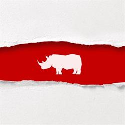 Rhino Wrap Alberta, Leduc, AB opening hours