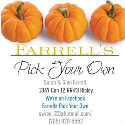Farrells Pick Your Own, Ripley, ON opening hours