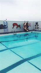 Foremost Swimming Pool, opening hours