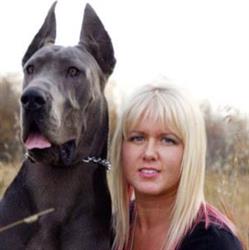Andrea's Pampered Pets, Grande Prairie, AB opening hours