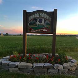 Harvdale Holsteins, Stayner, ON opening hours