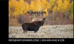 Antler Arms, Disraeli, QC opening hours