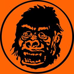 Orange Monkey Music, Waterloo, ON opening hours